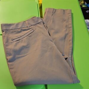 GAP Women's Tan Skinny Pants